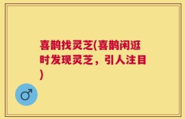 喜鹊找灵芝(喜鹊闲逛时发现灵芝，引人注目)