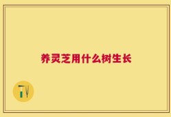 养灵芝用什么树生长