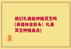 我们礼县能种植灵芝吗(再造林业巨头！礼县灵芝种植盘点)