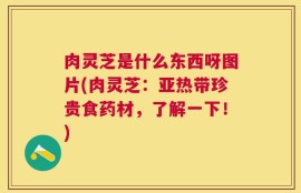 肉灵芝是什么东西呀图片(肉灵芝：亚热带珍贵食药材，了解一下！)