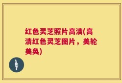 红色灵芝照片高清(高清红色灵芝图片，美轮美奂)