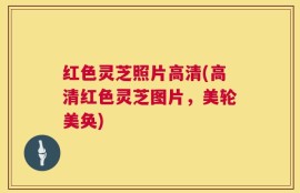 红色灵芝照片高清(高清红色灵芝图片，美轮美奂)