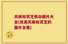 天麻和灵芝很白图片大全(优美天麻和灵芝的图片合集)