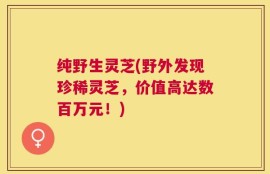 纯野生灵芝(野外发现珍稀灵芝，价值高达数百万元！)