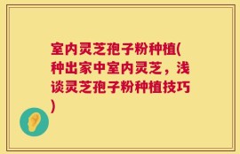 室内灵芝孢子粉种植(种出家中室内灵芝，浅谈灵芝孢子粉种植技巧)