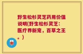 野生松杉灵芝药用价值说明(野生松杉灵芝：医疗界新宠，百草之王。)