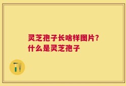 灵芝孢子长啥样图片？什么是灵芝孢子