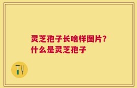 灵芝孢子长啥样图片？什么是灵芝孢子