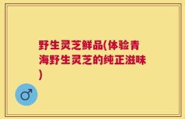 野生灵芝鲜品(体验青海野生灵芝的纯正滋味)