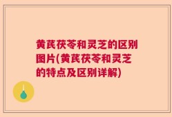 黄芪茯苓和灵芝的区别图片(黄芪茯苓和灵芝的特点及区别详解)
