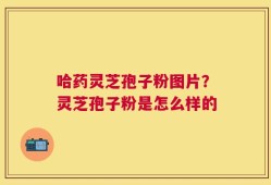 哈药灵芝孢子粉图片？灵芝孢子粉是怎么样的