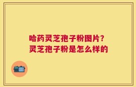 哈药灵芝孢子粉图片？灵芝孢子粉是怎么样的