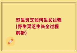 野生灵芝如何生长过程(野生灵芝生长全过程解析)