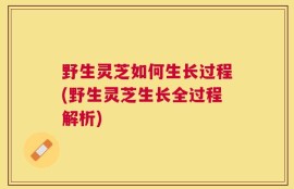 野生灵芝如何生长过程(野生灵芝生长全过程解析)