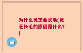 为什么灵芝会长毛(灵芝长毛的原因是什么？)