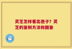 灵芝怎样看出孢子？灵芝的鉴别方法和图鉴