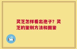 灵芝怎样看出孢子？灵芝的鉴别方法和图鉴