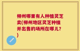 柳州哪里有人种植灵芝卖(柳州地区灵芝种植并出售的场所在哪儿？)