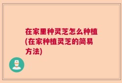 在家里种灵芝怎么种植(在家种植灵芝的简易方法)