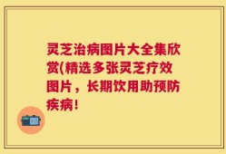 灵芝治病图片大全集欣赏(精选多张灵芝疗效图片，长期饮用助预防疾病！