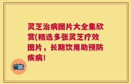 灵芝治病图片大全集欣赏(精选多张灵芝疗效图片，长期饮用助预防疾病！