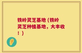 铁岭灵芝基地 (铁岭灵芝种植基地，大丰收！)