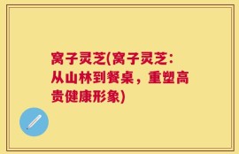 窝子灵芝(窝子灵芝：从山林到餐桌，重塑高贵健康形象)