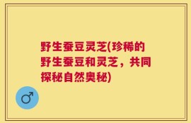 野生蚕豆灵芝(珍稀的野生蚕豆和灵芝，共同探秘自然奥秘)