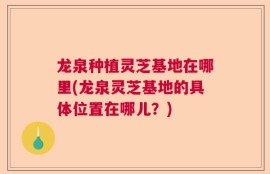 龙泉种植灵芝基地在哪里(龙泉灵芝基地的具体位置在哪儿？)