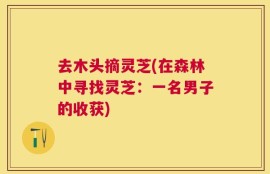 去木头摘灵芝(在森林中寻找灵芝：一名男子的收获)