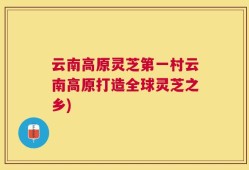 云南高原灵芝第一村云南高原打造全球灵芝之乡)
