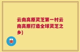 云南高原灵芝第一村云南高原打造全球灵芝之乡)