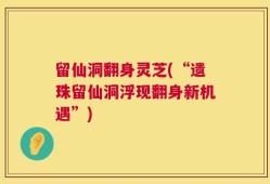 留仙洞翻身灵芝(“遗珠留仙洞浮现翻身新机遇”)
