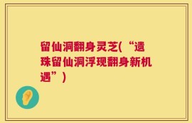 留仙洞翻身灵芝(“遗珠留仙洞浮现翻身新机遇”)