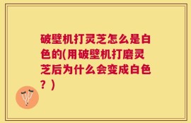 破壁机打灵芝怎么是白色的(用破壁机打磨灵芝后为什么会变成白色？)