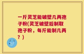 一斤灵芝能破壁几两孢子粉(灵芝破壁后制取孢子粉，每斤能制几两？)