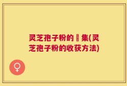 灵芝孢子粉的採集(灵芝孢子粉的收获方法)