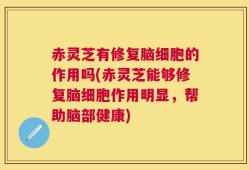 赤灵芝有修复脑细胞的作用吗(赤灵芝能够修复脑细胞作用明显，帮助脑部健康)