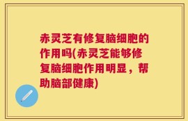赤灵芝有修复脑细胞的作用吗(赤灵芝能够修复脑细胞作用明显，帮助脑部健康)