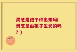 灵芝是孢子种出来吗(灵芝是由孢子生长的吗？)