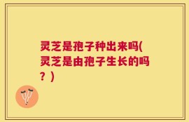 灵芝是孢子种出来吗(灵芝是由孢子生长的吗？)