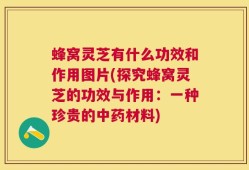 蜂窝灵芝有什么功效和作用图片(探究蜂窝灵芝的功效与作用：一种珍贵的中药材料)