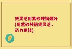 煲灵芝用紫砂炖锅最好(用紫砂炖锅煲灵芝，药力更佳)