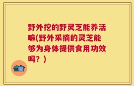 野外挖的野灵芝能养活嘛(野外采摘的灵芝能够为身体提供食用功效吗？)