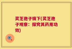 灵芝孢子镜下(灵芝孢子观察：探究其药用功效)