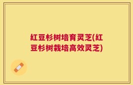 红豆杉树培育灵芝(红豆杉树栽培高效灵芝)