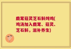 鹿茸菇灵芝石斛炖鸡(鸡汤加入鹿茸、菇灵、芝石斛，滋补养生)