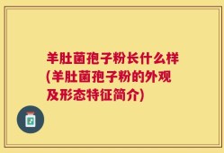 羊肚菌孢子粉长什么样(羊肚菌孢子粉的外观及形态特征简介)
