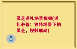 灵芝送礼场景视频(送礼必备：独特场景下的灵芝，视频展现)