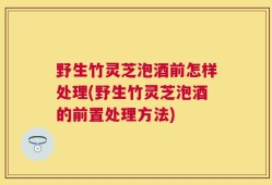 野生竹灵芝泡酒前怎样处理(野生竹灵芝泡酒的前置处理方法)